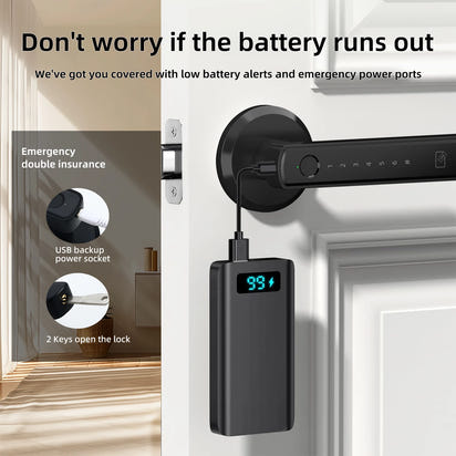 NexLock Pro Smart Door Knob